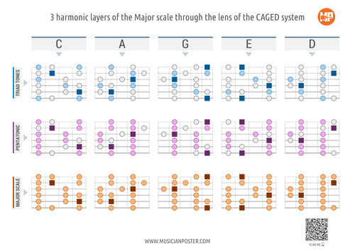 CAGED: 3 Harmonic Layers of the Major Scale (Flat Style)