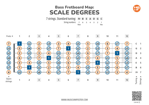 7-String Bass Printable Fretboard Map With Scale Degrees