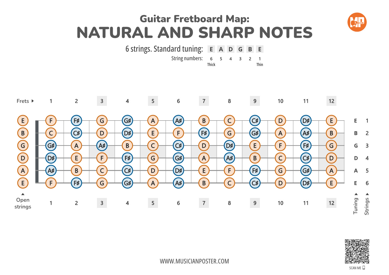 guitar fretboard chart